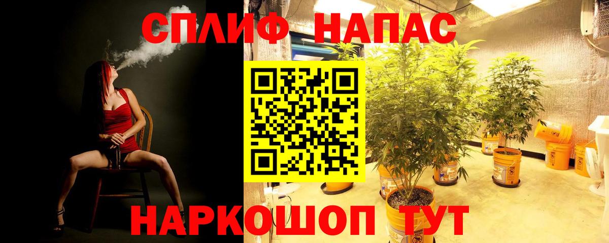 Шишки марихуана конопля  Конопля план  Вход с VPN  Марихуана план  Чернушка 